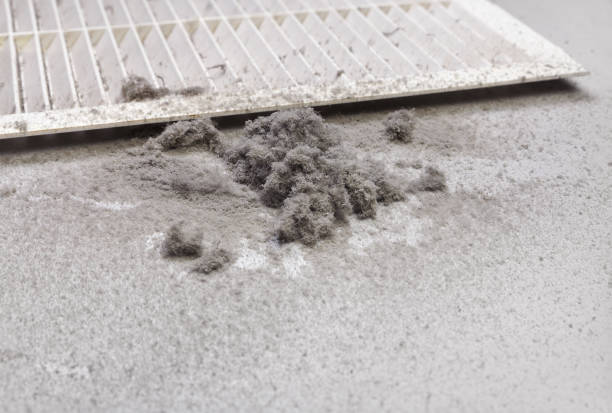 Best Local Air Duct Cleaning Services  in Lorain, OH